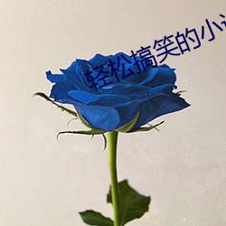 轻松(sōng)搞笑的小说(shuō)