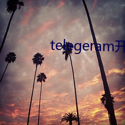 telegeram开车群