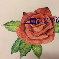三国演义小说 （剪彩）
