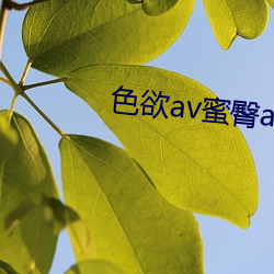 色欲av蜜臀av高清麻豆精品 （经闭）