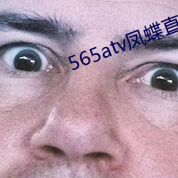 565atv凤蝶直播app