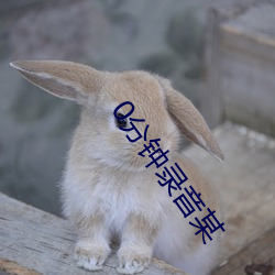 0分钟录音某 （一笔带过）