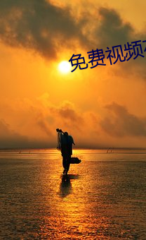 免(miǎn)费视频在线观看软(ruǎn)件