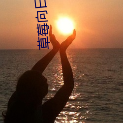 草莓向(xiàng)日葵下(xià)载