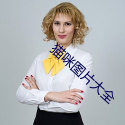 猫咪图片大全