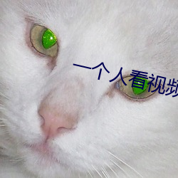 一(一)个人(人)看视频高清在线