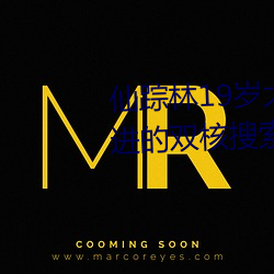 仙踪林19岁大陆女rapper潮水先进的双核搜索技术