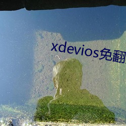 xdevios免翻版