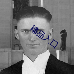 精品(品)入口
