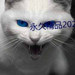 永久精品2021