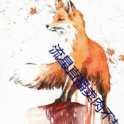 流星直播(播)卖肉不封号版