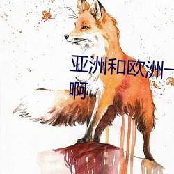 亞洲和歐洲一碼二碼區別在哪裏啊