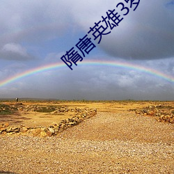 隋唐英雄3罗通苏宝凤