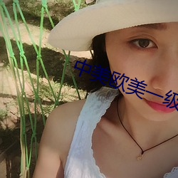 中美欧美一级A级特级