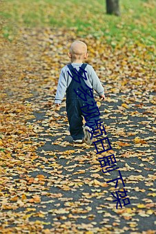 多多视频日剧下架