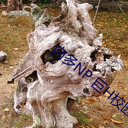 肉多NP 巨H校园 （厌倦）
