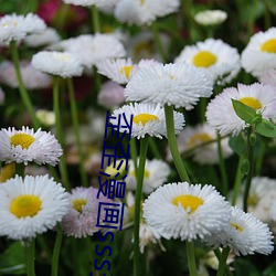 歪歪漫(màn)画sss登录页面免费(fèi)漫(màn)画(入口)