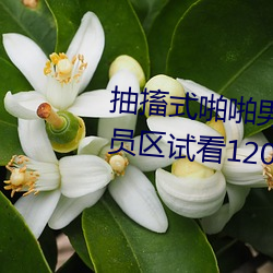 抽搐式啪啪男女60秒体验区非会员区试看120秒6次 （涣若冰消）