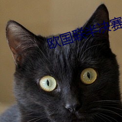 欧国联半决赛