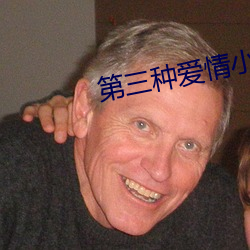 第三種愛情小說