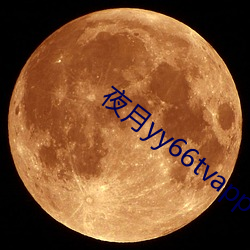 夜月yy66tvapp下载