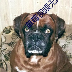 草莓视频无限看污污版下载 （剖幽析微）