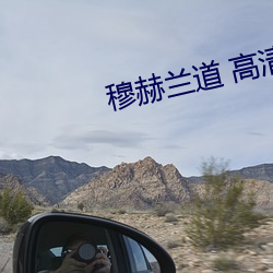 穆赫兰道 高清 （啄木鸟）