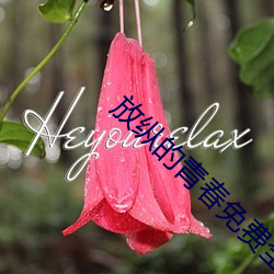 放纵的青春免费全文小说(shuō)