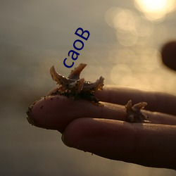 caoB （恫瘝在抱