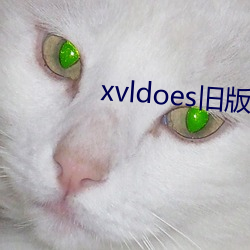 xvldoesɰ氲װ 