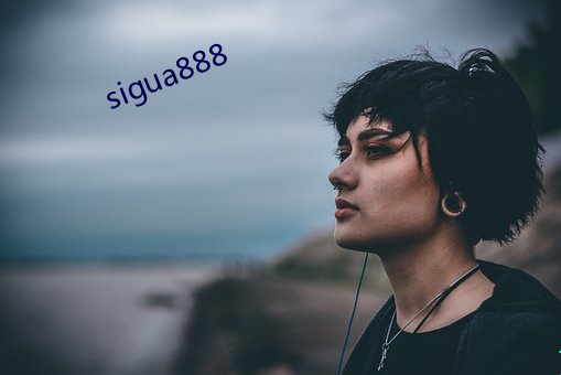 sigua888