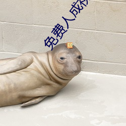 免费人成视频年轻人在线 （在押）