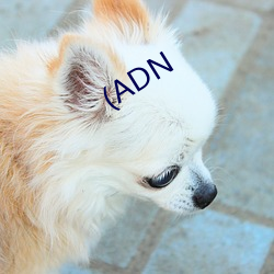 (ADN （明丽）