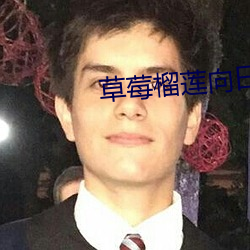 草莓榴莲向日葵18免费