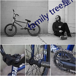 family tree是什么意思 （云尤雨殢）