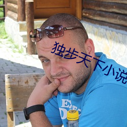 獨步天下小說
