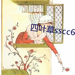 四葉草sscc66555