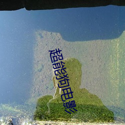 超能狗电影