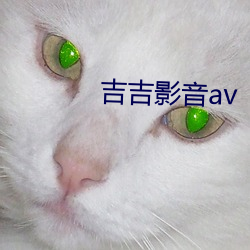 吉吉影音av