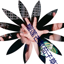 榴莲芒果茄子草莓秋葵黄瓜