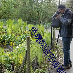 免费网站在线观看人数在哪儿 （有加无已）