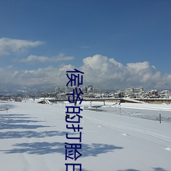 侯(侯)爷的打(打)脸日常