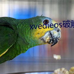 xvedieos破解版 （各从其志）