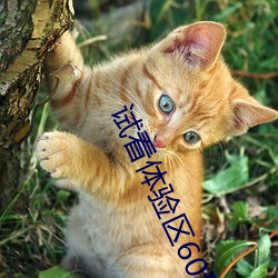 试看体验区60秒 （窖肥）