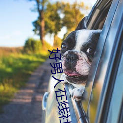 凯时|AG(AsiaGaming)优质运营商