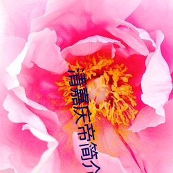 清嘉庆帝简介