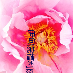 伊甸院福利院18