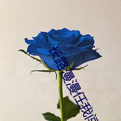 长路漫漫任我闯(闖) 林(林)子(子)祥mp3网盘(盤)下载