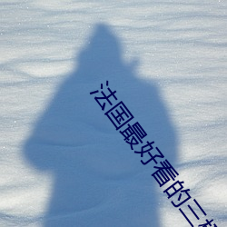法國最好看的三極