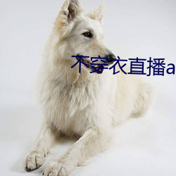 不穿衣直播补辫辫